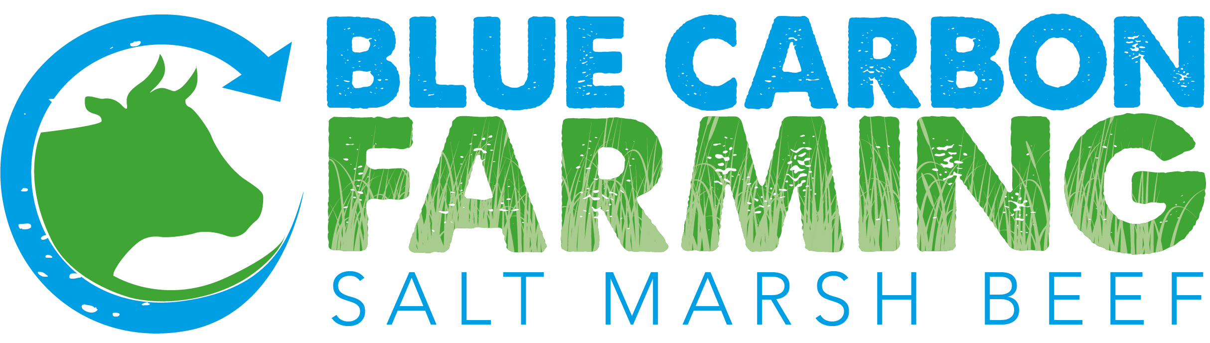 Blue Carbon Farming Company