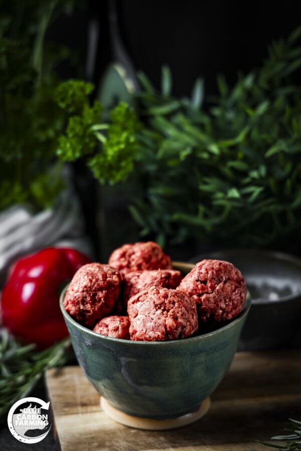 Meatballs (12 pack) - Image 3