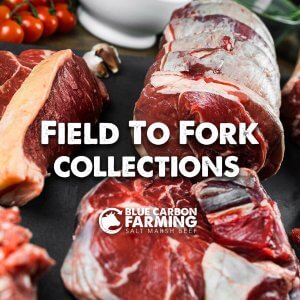 Field To Fork Collections - Grass Fed Meat Boxes, direct to your door nationwide