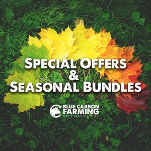 Special Offers & Seasonal Bundles